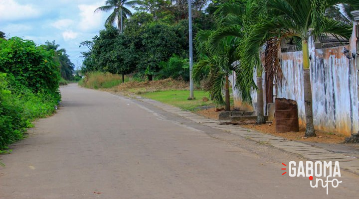 Ndéndé&nbsp;: Un homme parti pour récolter du vin de palme, disparait en forêt 