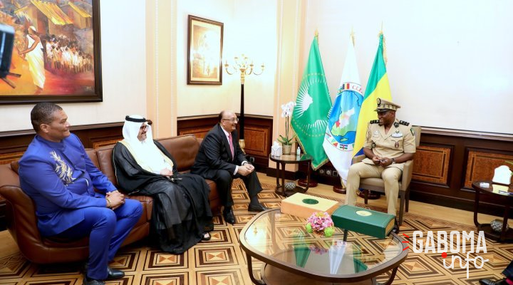 Oligui Nguema discute de partenariats stratégiques avec Gaz Min International