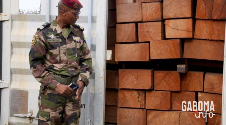 Owendo&nbsp;: 10 conteneurs de kevazingo retrouvés abandonnés sur le site de l’entreprise Getman