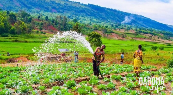 Les économies africaines enclavées ont des atouts pour contribuer à la prospérité du continent