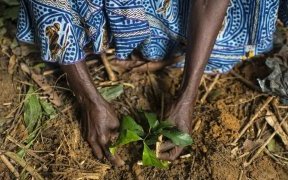 «&nbsp;Nous devons mettre un terme à ces guerres insensées contre la nature&nbsp;»