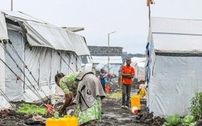 Violences sexuelles en RDC : « une femme violée toutes les quatre minutes »