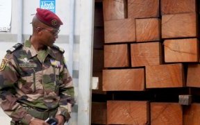 Owendo&nbsp;: 10 conteneurs de kevazingo retrouvés abandonnés sur le site de l’entreprise Getman