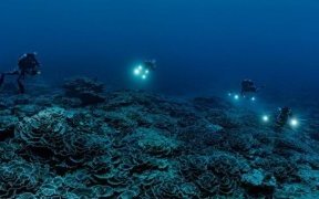 Décolonisation&nbsp;: l’histoire inachevée des derniers peuples sous tutelle