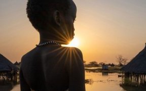 Les contentieux liés au climat ont plus que doublé en cinq ans