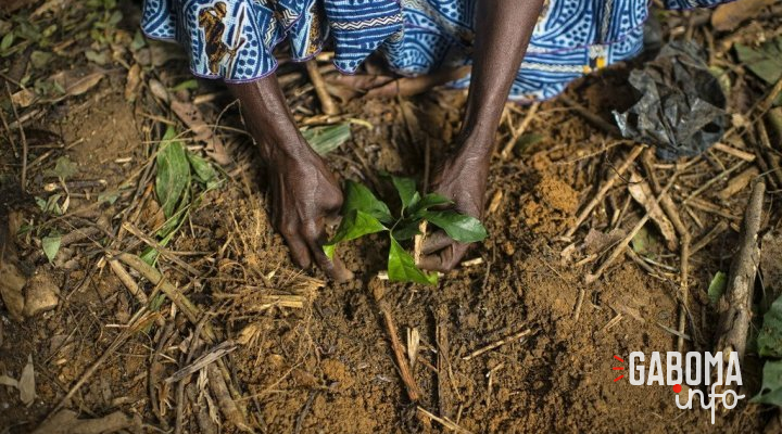 «&nbsp;Nous devons mettre un terme à ces guerres insensées contre la nature&nbsp;»
