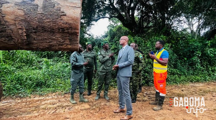 Forêt&nbsp;: le ministre Maurice Ntossui Allogo intensifie les contrôles sur le terrain