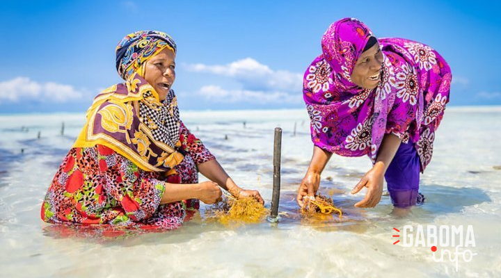 Il est urgent d’adopter un «&nbsp;Pacte Bleu&nbsp;» pour protéger nos océans, selon la CNUCED