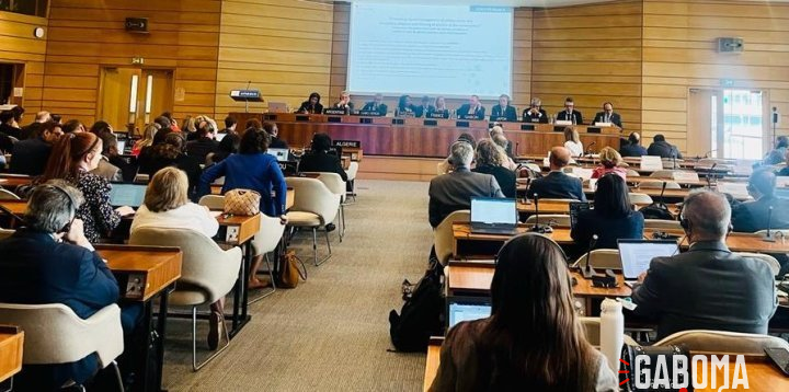 Le Gabon à la session de haut niveau sur la pollution plastique de Paris